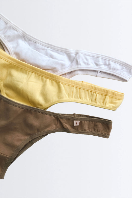 03747 - Kit com 3 Calcinhas de Cotton Asa Delta