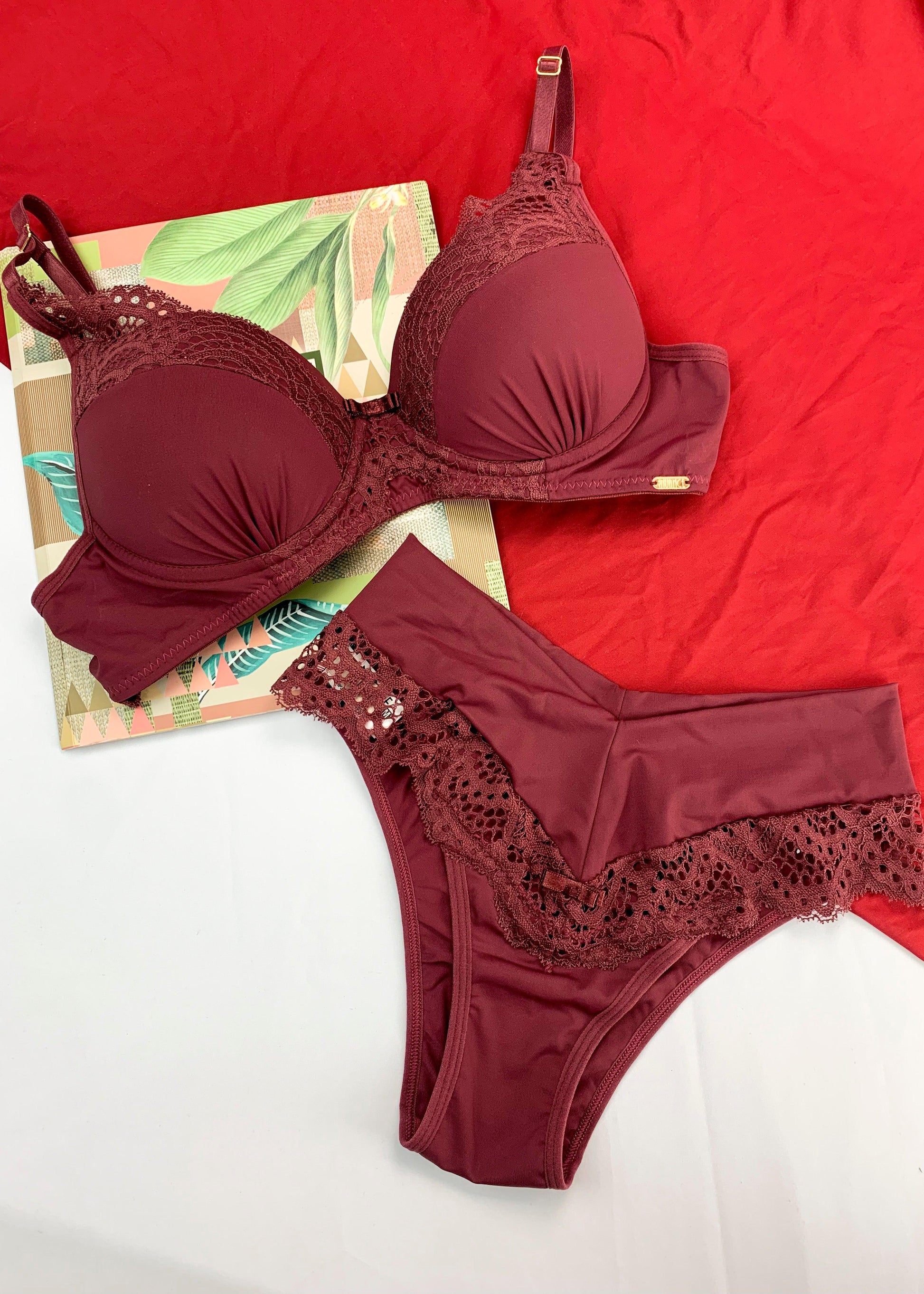 Conjunto Soutien com Renda e Calcinha Biquíni - Nuance
